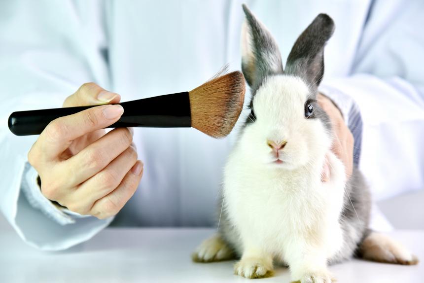 nicotine Tienerjaren demonstratie Wereldproefdierendag 2022: nog steeds lijden dieren voor cosmetica | Animal  Rights