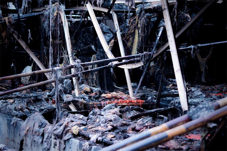 De afgebrande stal in Damme: dode biggen liggen tussen de gesmolten roosters waarop ze leefden