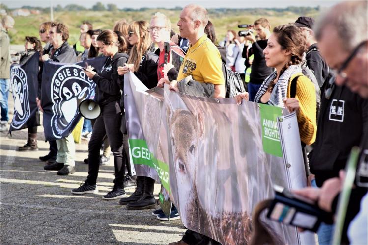 Protest tegen afschot damherten. Foto: Lammert van Raan.