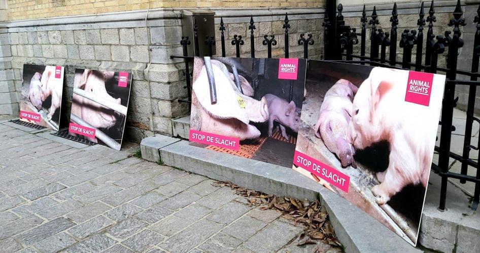 Animal Rights vraagt aandacht voor de rechtszaak met een stil protest.