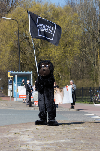 Animal Rights in actie tegen dierproeven op apen BPRC