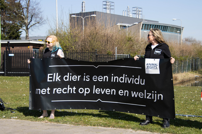 Animal Rights in actie tegen dierproeven op apen BPRC