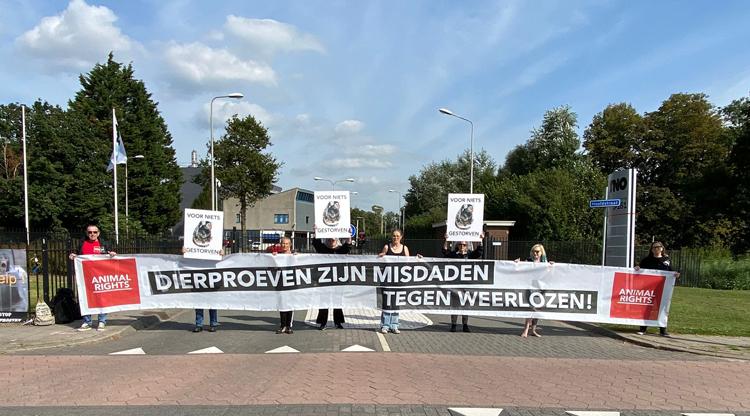 Dierproeven zijn misdaden tegen weerlozen