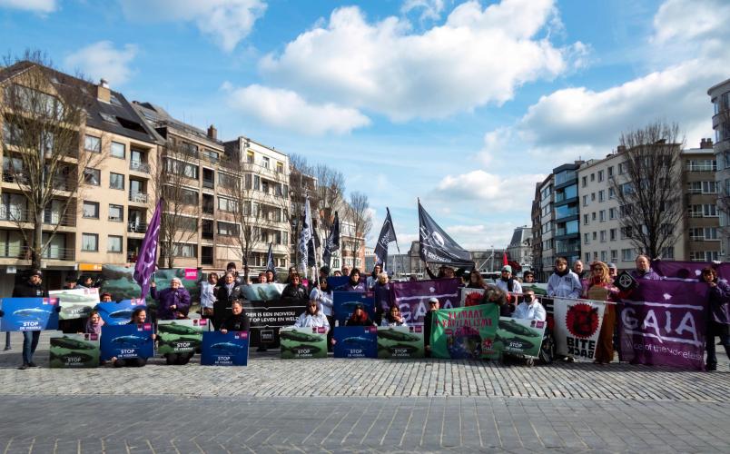 Demonstratie tegen de komst van de grootste zalmkwekerij van Europa in Oostende