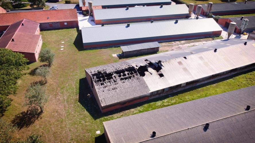 De uitgebrande kippenstal eiste 4500 levens