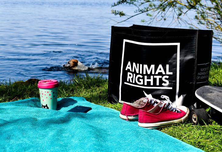 Webshop | Animal Rights