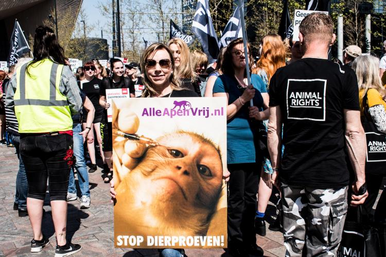 Duidelijke boodschap: stop dierproeven