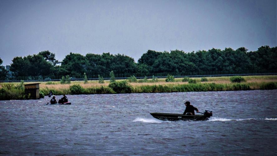 Ganzen worden bij elkaar gedreven met bootjes of honden. 