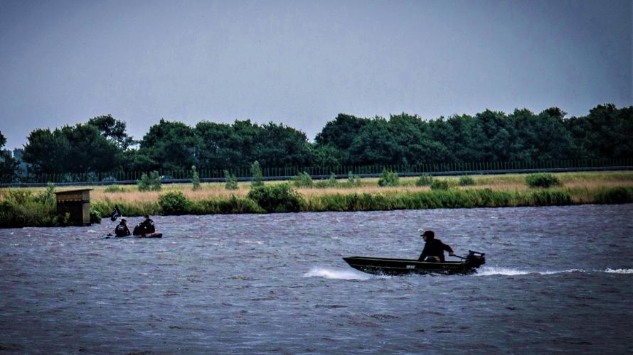 Ganzen worden bij elkaar gedreven met bootjes.
