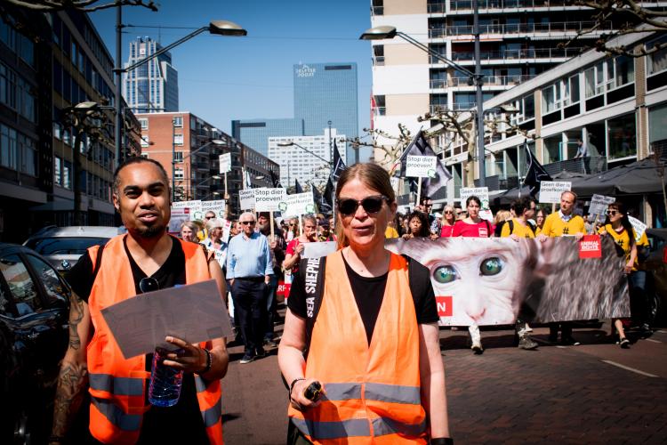 Stewards begeleiden de mars