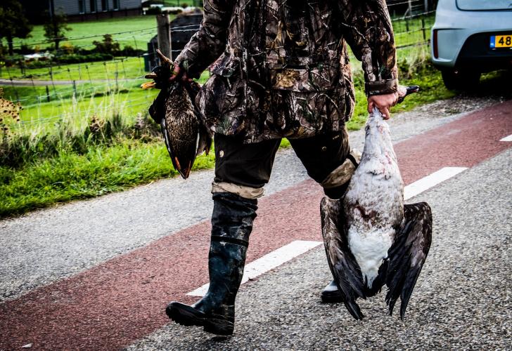 Animal Rights pleit voor een volledig verbod op de plezierjacht.