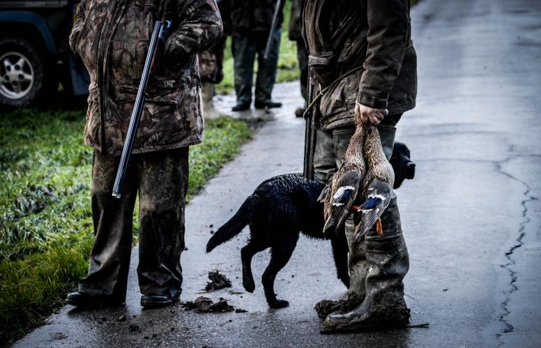 Beelden Animal Rights: plezierjacht op eenden.