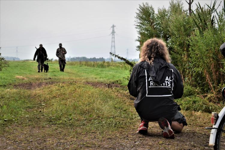 De jachtpartijen werden gestaakt.