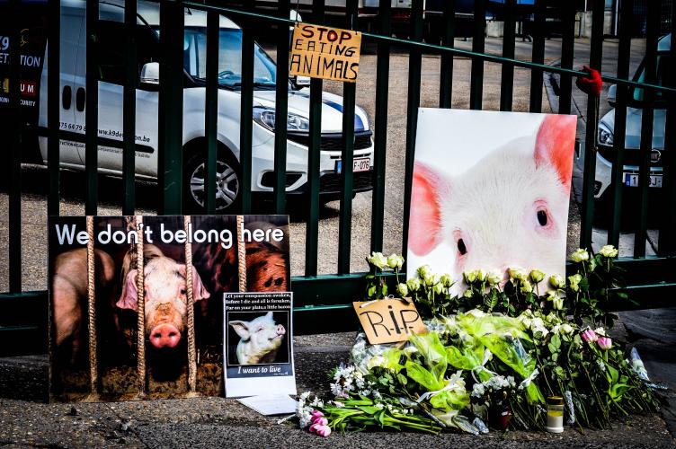 De poort voor het slachthuis tijdens de protestactie