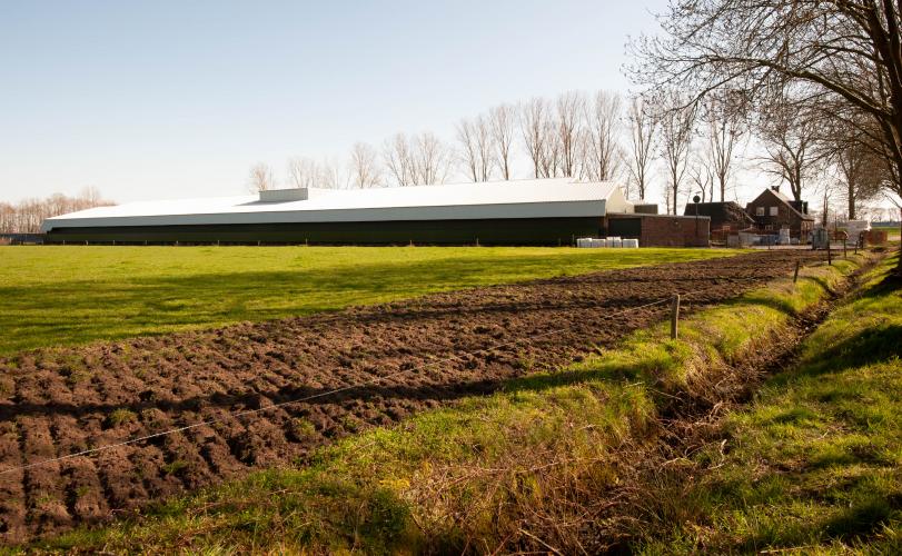 Partij voor de Dieren “Weer varkensbaron Straathof uit Brabant” Animal Rights Partij voor de Dieren “Weer varkensbaron Straathof uit Brabant” Animal Rights