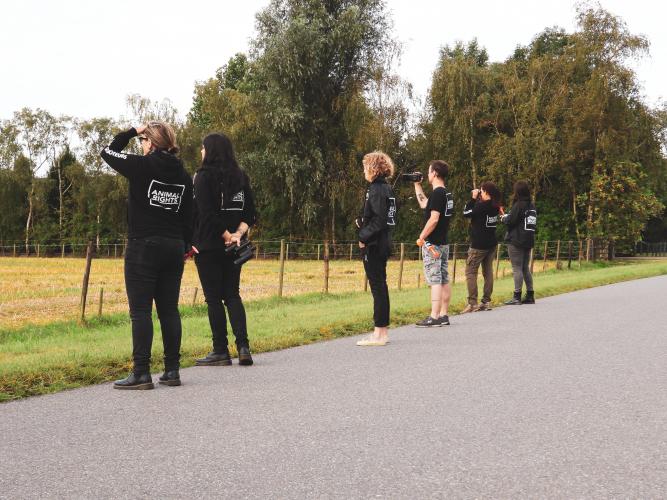 De organisatie verzet zich tegen de ganzenjacht.