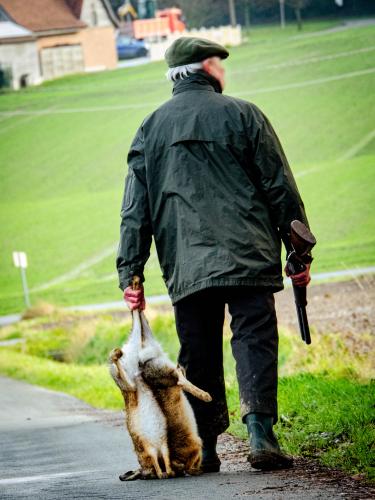 Dieren worden over de grond gesleurd als objecten.