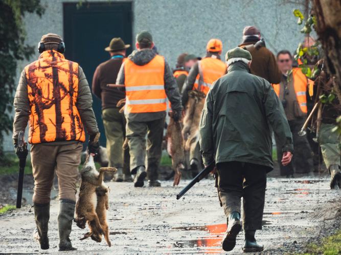 Ontelbare dieren verloren het leven.