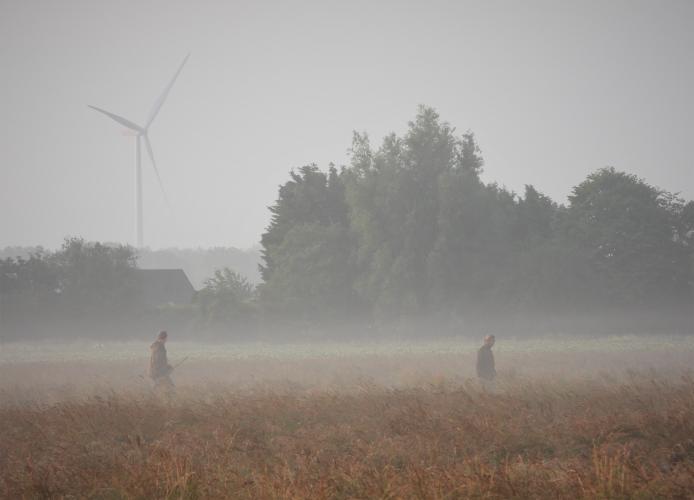 Er wordt gezocht naar neergeschoten dieren.