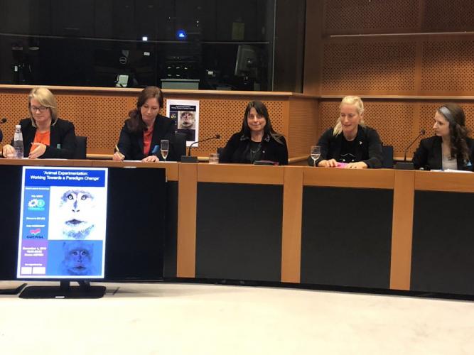 De auteurs van het boek van links naar rechts: Jan Turner (Safer Medicines Trust), Katy Taylor (Cruelty Free International), Emily McGivor (PETA), Kathrin Herrmann (CAAT), Carolin Spicher (Menschen für Tierrechte)