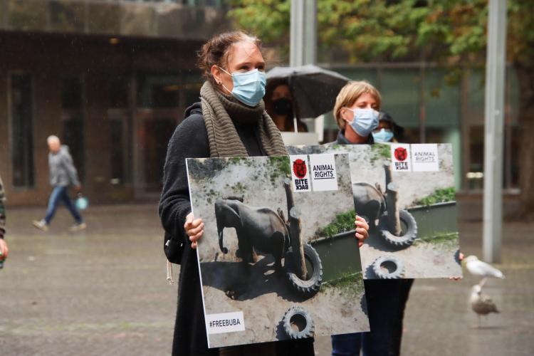 Animal Rights en Bite Back organiseerden een demo voor Buba