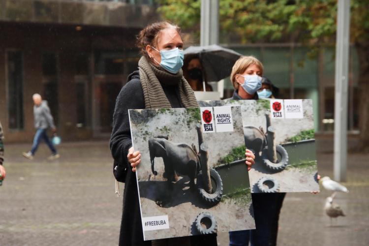 Demonstratie met Bite Back voor Buba bij de Tweede Kamer.