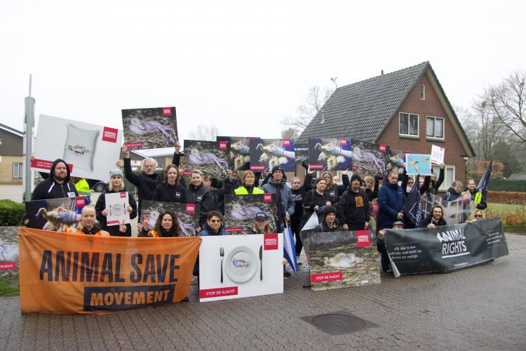 Animal Rights, Animal Save Nederland en Bite Back voerden actie bij eendenslachter Tomassen. Foto door Animal Rights.