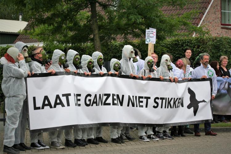 Demonstratie bij Duke: laat de ganzen niet stikken!