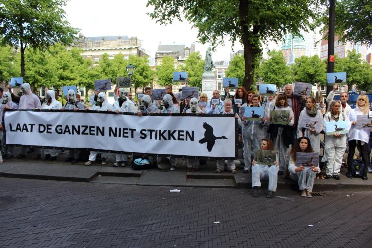 Demonstratie voor de Tweede Kamer tegen de vergassingen. 