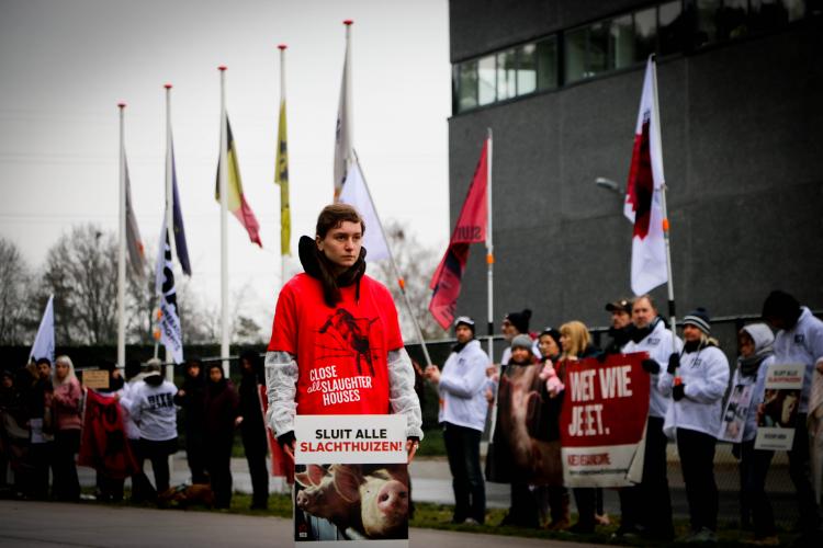 Er waren 150 activisten aanwezig. 