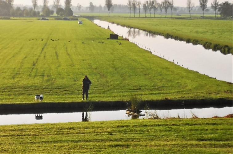 Aan de andere kant van de dijk ligt een beschermd natuurgebied.