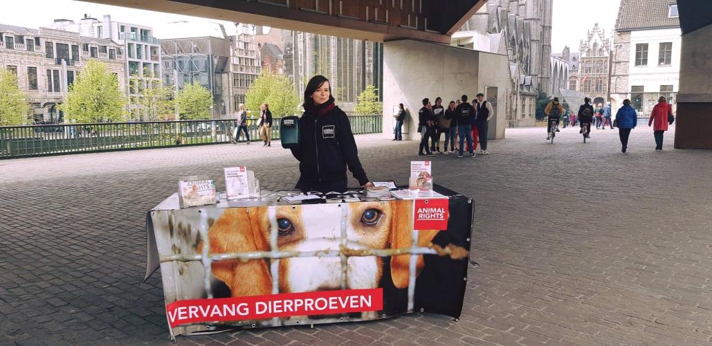 Informatiestand in Gent