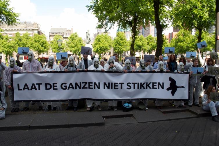Laat de ganzen niet stikken