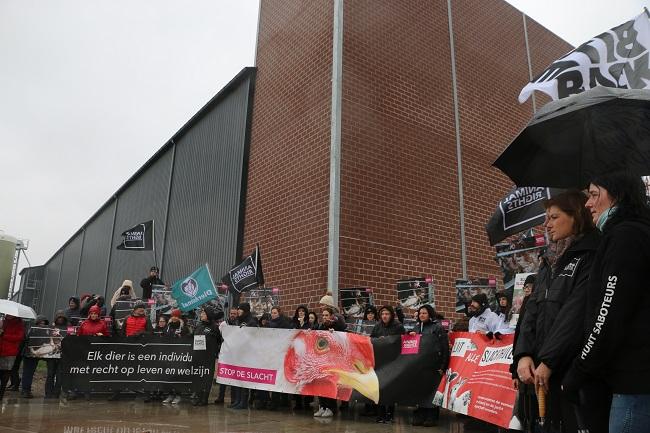 Protest bij een horror-schuur vol leghennen.