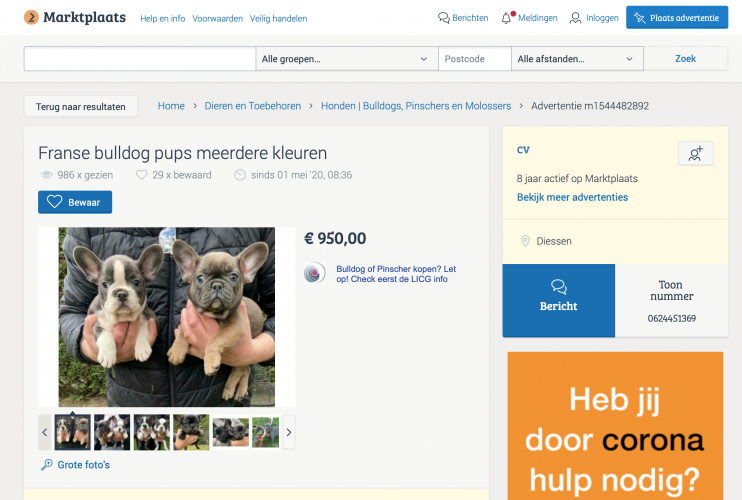 huid Voldoen Voorwaarden Malafide puppy dealer uit Diessen kan gewoon zijn gang blijven gaan |  Animal Rights