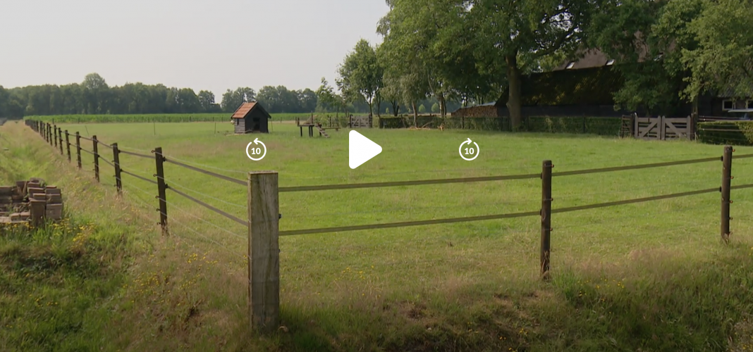 Een stapel bakstenen als opstap voor de wolf om over het hek te springen. Dit zou ook verklaren hoe het dier wel binnen kon, maar geen uitgang vond.