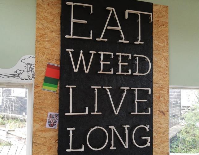 Eat weed live long