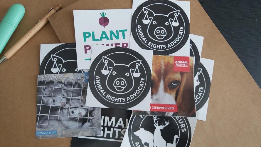In juni krijg je een uniek 'Animal Rights Advocate' stickerpakket cadeau