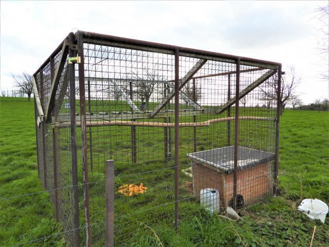 Vogels vliegen vanaf boven in de val en kunnen er daarna niet meer uit.