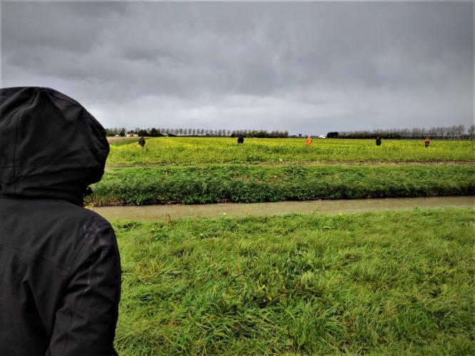 Activisten zijn getuige van een drijfjacht in Noord-Holland.