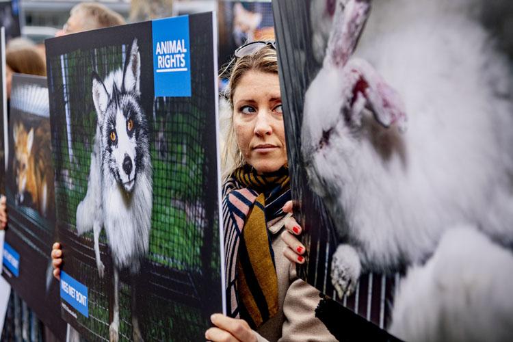 Animal Rights en Bont voor Dieren in actie tegen bontverkoper Skihut