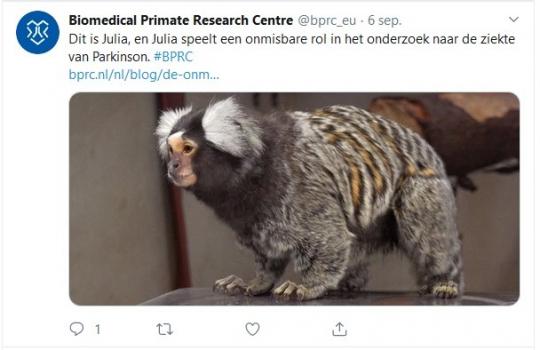 Het BPRC tweet over Julia